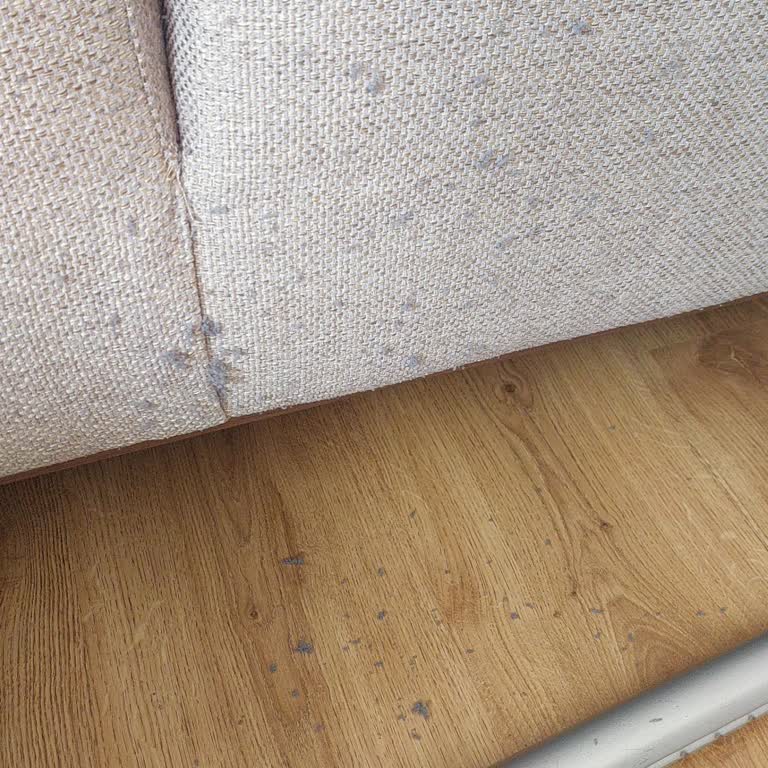 Koltuk Örtüsü Tüylenmesi Koltuğumu Mahvetti