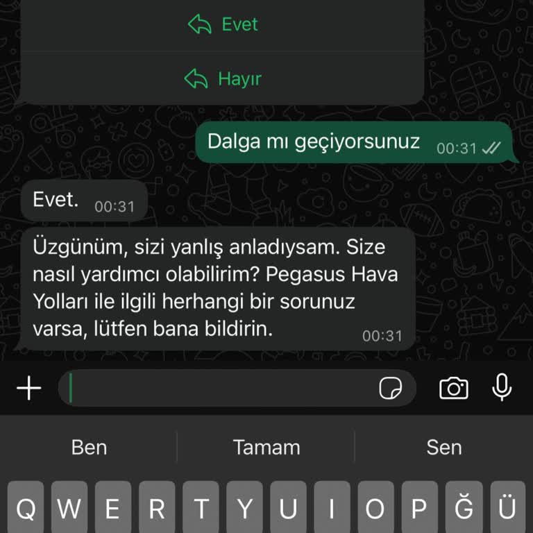 Pegasus Müşteri Hizmetlerinde Saygısız Yaklaşım Ve Sorun Çözülmemesi