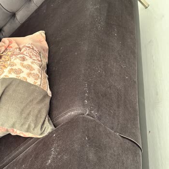 Divanev Eterna Koltukta Kumaş Sorunu Ve Yetersiz Servis Desteği