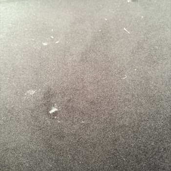 Divanev Eterna Koltukta Kumaş Sorunu Ve Yetersiz Servis Desteği