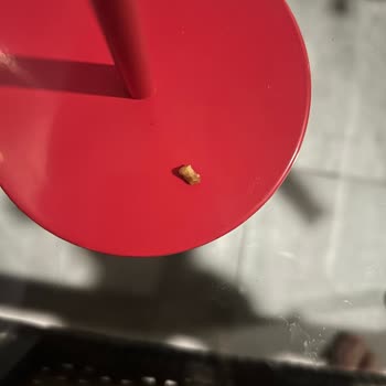 Tadelle Çikolatanın İçinden Yabancı Cisim Çıkması Nedeniyle Hayal Kırıklığı