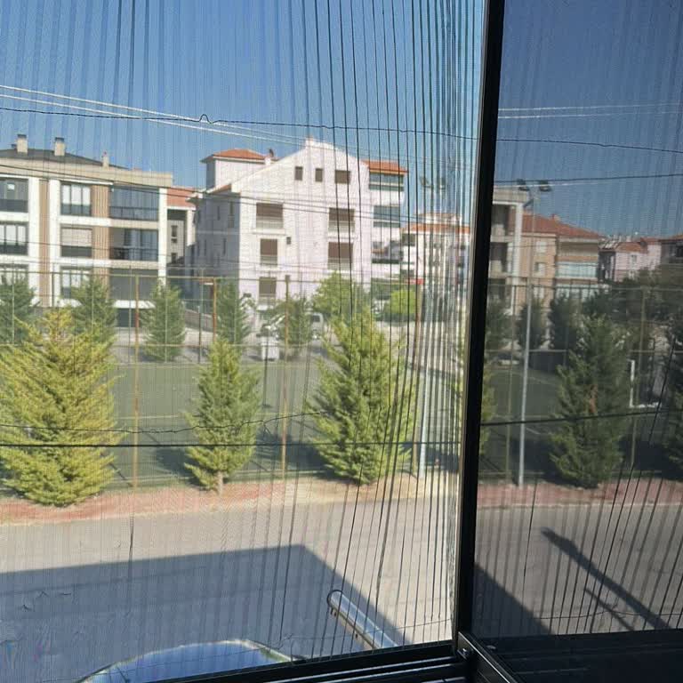 Sineklik Montajı Gecikti, Eski Sineklik De Bozuldu