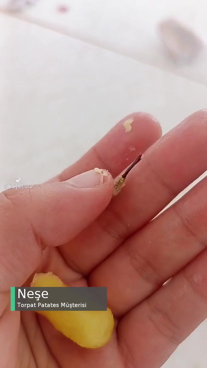 Torpat Patates İçinden Çıkan videonun kapak resmi