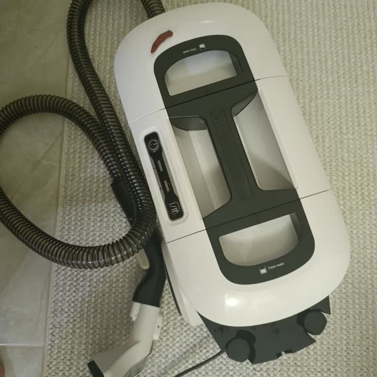 Kiwi Üründe Hep Aynı Problem