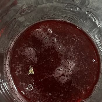 Dimes Gıda Cool Berry Mix İçinden Güve Çıkması Ve Müşteri Hizmetlerinin İlgisizliği