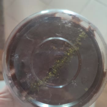 Pastaneden Alınan Tatlılarda Yaşanan Gıda Güvenliği Sorunu