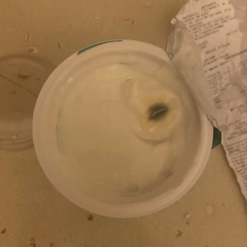 Nilky Hindistan Cevizi Yoğurdunda Küf Sorunu Ve Güvensizlik