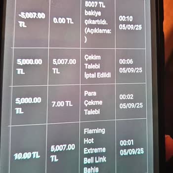 Kazançlarım Haksız Şekilde Silindi, Destek Alamıyorum