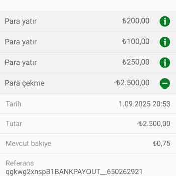 Çekim İşlemi Gecikti, Müşteri Hizmetlerinden Çözüm Alamadım