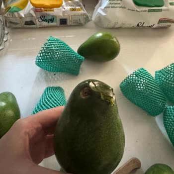 Ezilmiş Avokadolar Ve Müşteri Hizmetlerinden Dönüş Alamadım