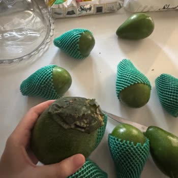 Ezilmiş Avokadolar Ve Müşteri Hizmetlerinden Dönüş Alamadım