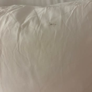 Pilos Suites Verdiğim Paranın Karşılığını Kesinlikle Alamadım!