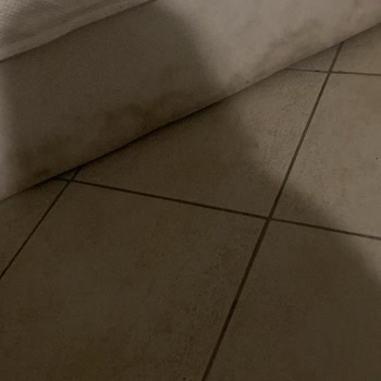 Kötü Hijyen, İlgisiz Yönetim Ve Sağlık Sorunları: Seahorse Otel’de Hayal Kırıklığı