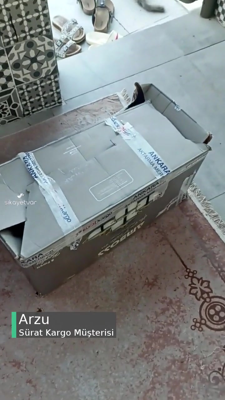 Sürat Kargo Mağduriyeti videonun kapak resmi