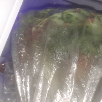 Buzdolabında Sebzelik Kısmı Terleme Ve Çürüme Sorunu Yaşanıyor