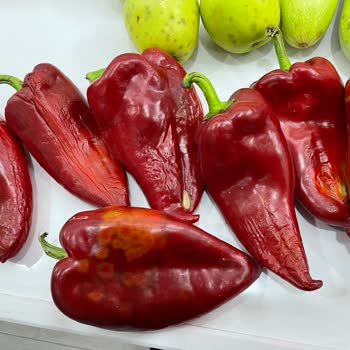 Çürük Sebze Ve Meyve Teslimatı Sonrası Müşteri Hizmetlerinden Yanıtsız Kaldım