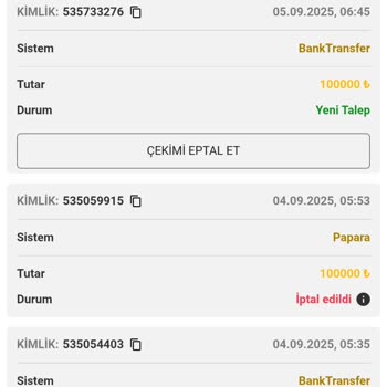 Betsilin'de Banka Havalesi İle Çekim Taleplerim Sürekli İptal Ediliyor
