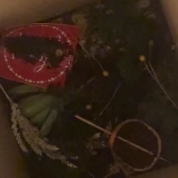 Kargo Nedeniyle Çiçek Hediyem Parçalandı