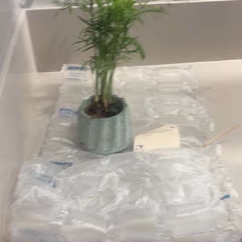 Kargo Nedeniyle Çiçek Hediyem Parçalandı