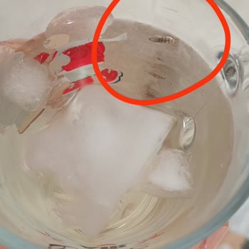 Dimes Cool Lime Ürününde Böcek Çıkması Ve İletişimsizlik