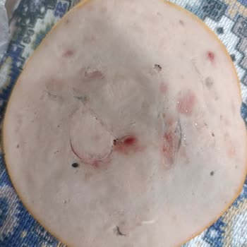 Aldığım Salamda Kan Çıktı, Ücret İadesi Ve Yaptırım Talep Ediyorum