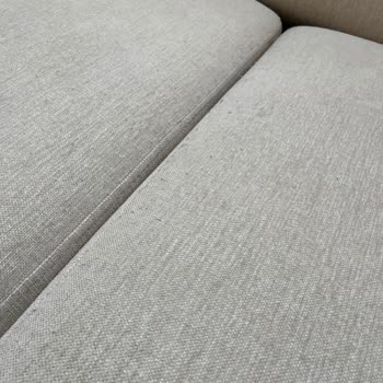 Vivense Koltuk Takımında Kumaş Bitlenmesi Ve Yetersiz Çözüm