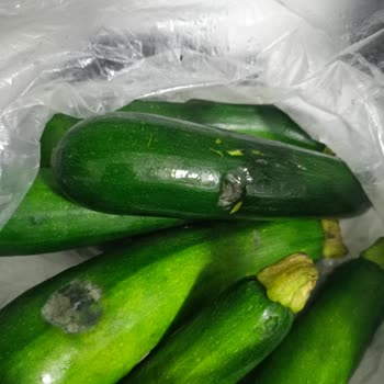 Profilo Buzdolabında Sürekli Arıza Ve Çözüm Eksikliği Nedeniyle Mağduriyet