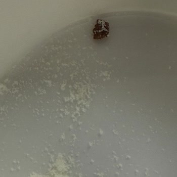 Mama Kutularında Yabancı Madde Endişesi Ve Muhatap Bulamama Sorunu