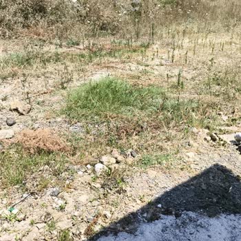 İki Yıldır Asfaltlanmayan Yol Nedeniyle Mağduriyet Yaşıyoruz