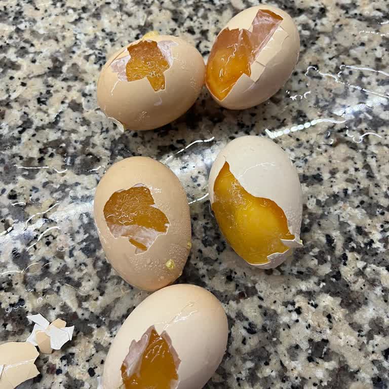 Vestel Buzdolabı Arızaları Ve Yetersiz Teknik Servis Mağduriyeti