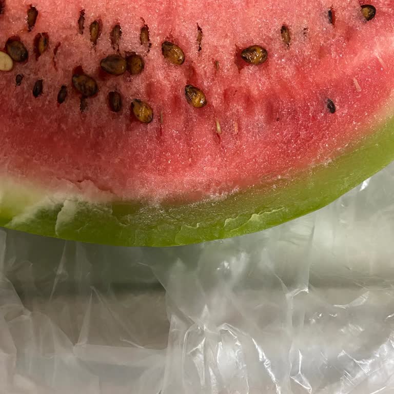 Vestel Buzdolabı Arızaları Ve Yetersiz Teknik Servis Mağduriyeti