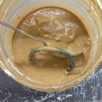 Tahin Kutusunda Conta Çıkmasıyla Yaşadığımız Rahatsızlık