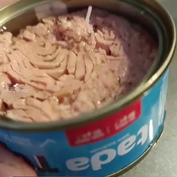 Tada Balığın İçinden Bilinmeyen Bir Madde Çıktı