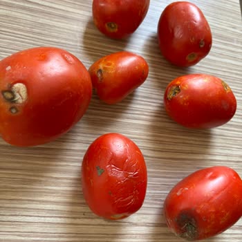 Migros Hemen Adana Şubesi'nden Ezilmiş Ve Küflü Ürünler, Çözüm Yok!