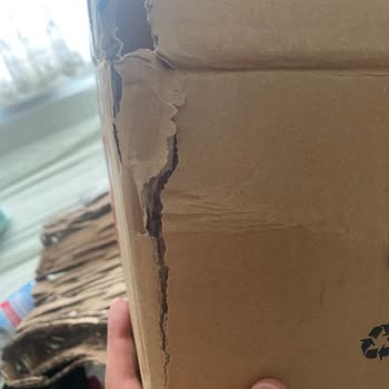 Hasarlı Ürün Ve Ulaşılamayan Müşteri Hizmetleri Hayal Kırıklığı