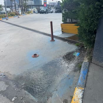 Petrol İstasyonunda Yetersiz Temizlik Nedeniyle Yaşanan Düşme Ve Mağduriyet