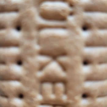 Taze Üründe Kurt Larvası Şoku Ve Müşteri Hizmetlerine Ulaşılamıyor