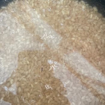 Aldığım Kuru Gıda Ürünü Bozuk Ve Kurtlu Çıktı, İade Talep Ediyorum