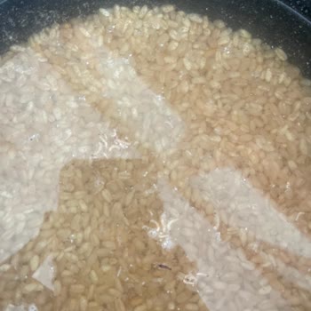 Aldığım Kuru Gıda Ürünü Bozuk Ve Kurtlu Çıktı, İade Talep Ediyorum