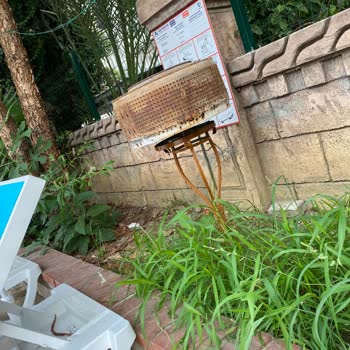 Alanya Dreams Apart Otel'de Hijyen Ve Hizmet Sorunlarıyla Mağduriyet