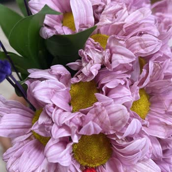 Solmuş Ve Taze Olmayan Çiçek Teslimatı Hayal Kırıklığı Yarattı