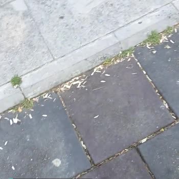 Develi Belediyesi Parklar Çok Pis Muhtarı Aradık Çok Kaba Cevap Verdi