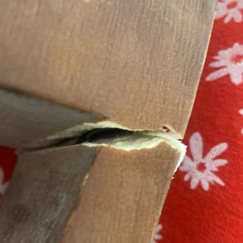 Desa Terliğim Kırıldı Mağdur Oldum