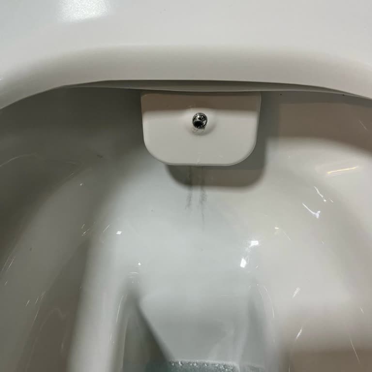 Vitra Klozetimde Kararma Ve Renk Atması Sorunu Çözülmüyor