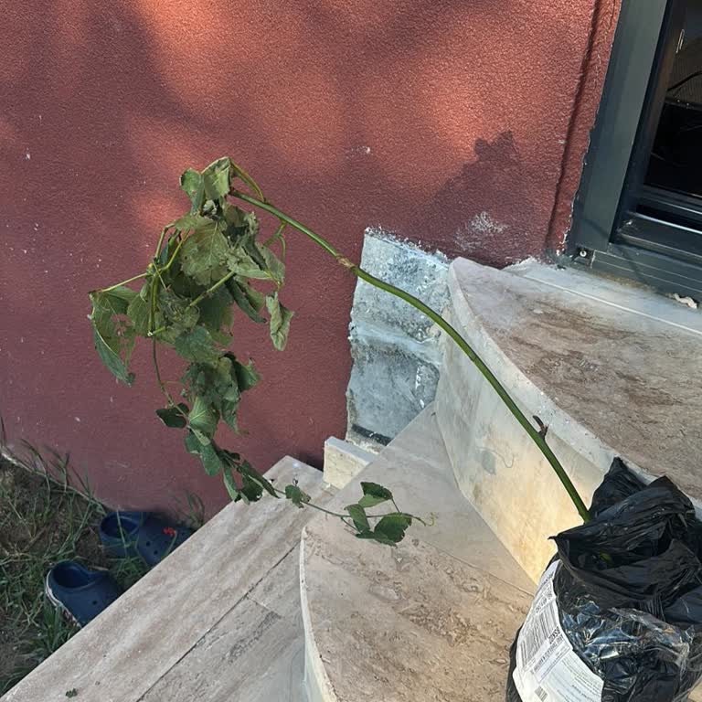 Aldatıcı Ürün Gönderimi Ve İade Talebinin Reddedilmesi