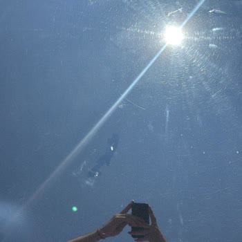 6 Aylık Citroen C5 Aracımda Tavanda Boya Sorunu Ve Garanti Kapsamında Destek Talebi