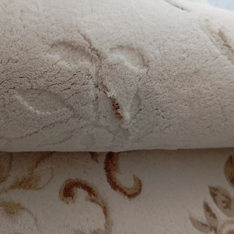 Güneş Halı Yıkama (Bursa) Halıma Zarar Verdi