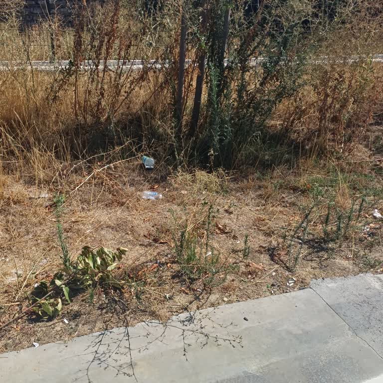 Kocamustafa Mahallesi’nde Temizlik Hizmeti Sürekli Aksatılıyor, Çözüm Bekliyoruz