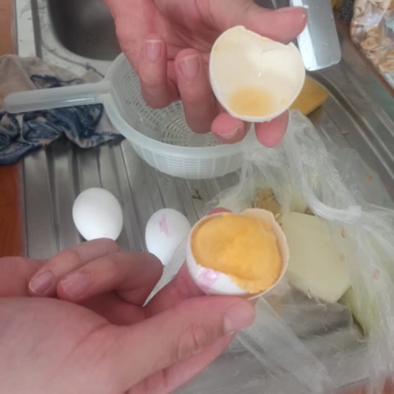 Yunus Market’ten Aldığım Yumurtalar Bozuk Çıktı, Sağlığımız Tehlikeye Girdi