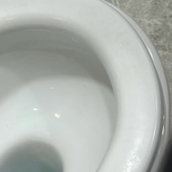 Vitra Sento Rimex Klozet Kapaklarında Kısa Sürede Oluşan Lekeler Ve Görüntü Sorunu